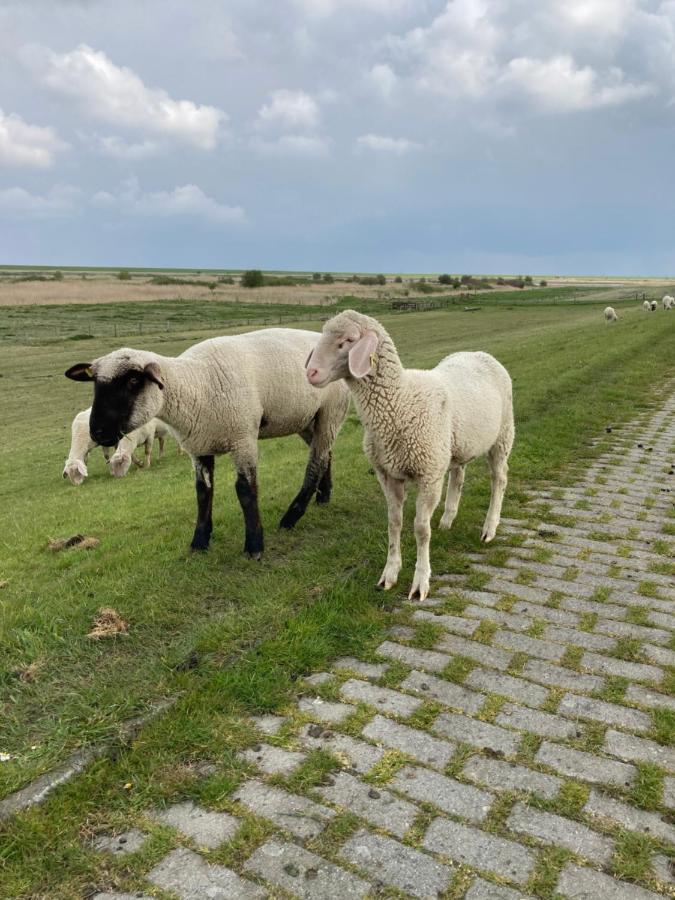 Ferienhaus Heimathafen Neßmersiel Eksteriør billede